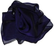 Iridescent Chiffon Silk-Black Tanzanite